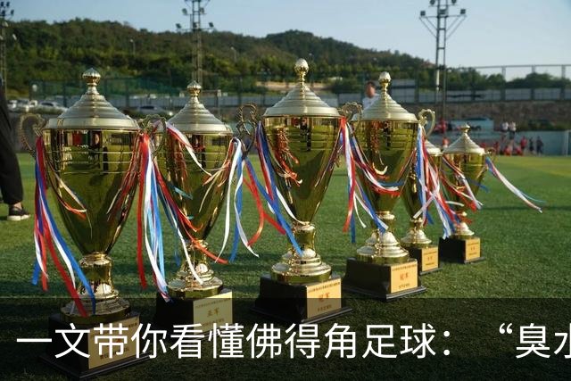 一文带你看懂佛得角足球：“臭水沟里都能踢球”，神奇门将曾打过多份工