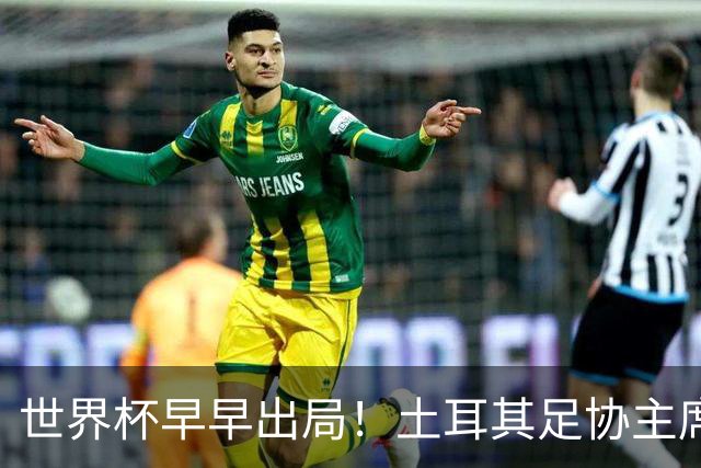 世界杯早早出局！土耳其足协主席：所有国脚们仍将获赠海景别墅