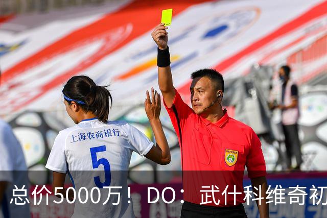 总价5000万！DO：武什科维奇初始转会费4600万镑，热刺有二转分成