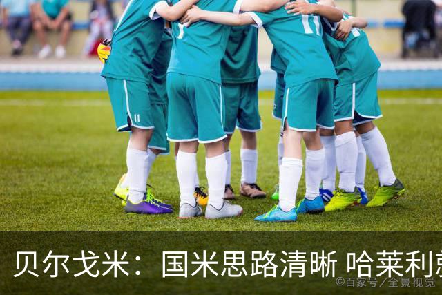 贝尔戈米：国米思路清晰 哈莱利就像阿什拉夫 防线引援选卢库米