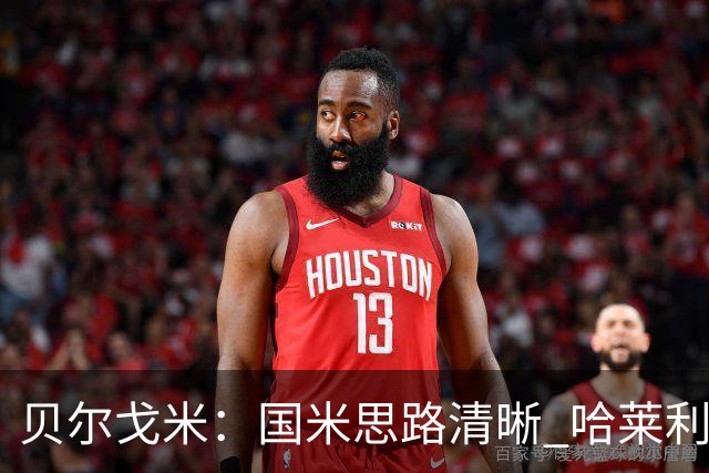 贝尔戈米：国米思路清晰 哈莱利就像阿什拉夫 防线引援选卢库米