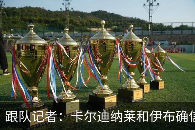 跟队记者：卡尔迪纳莱和伊布确信会在10号前敲定米兰新帅